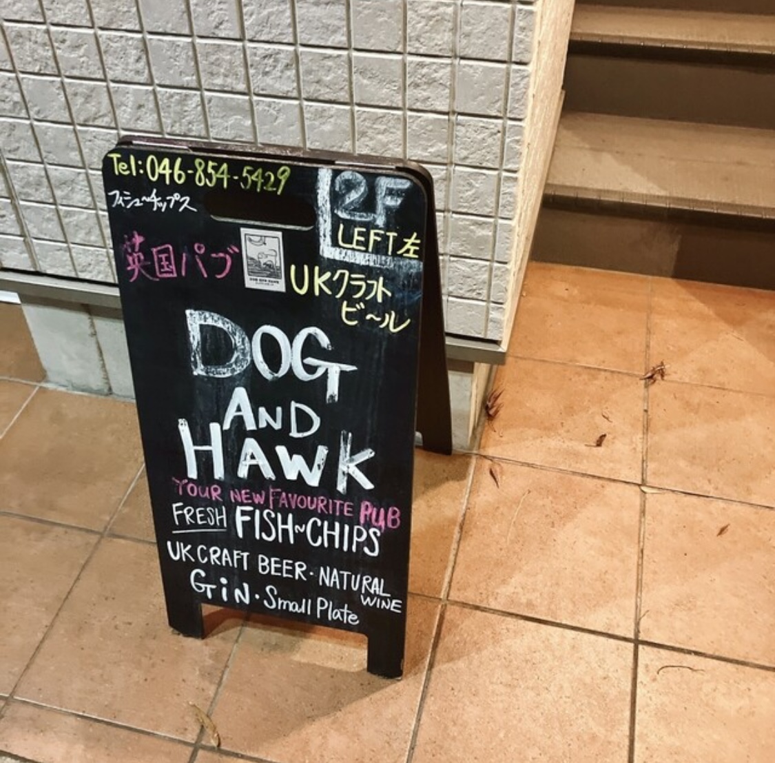 DOG AND HAWK